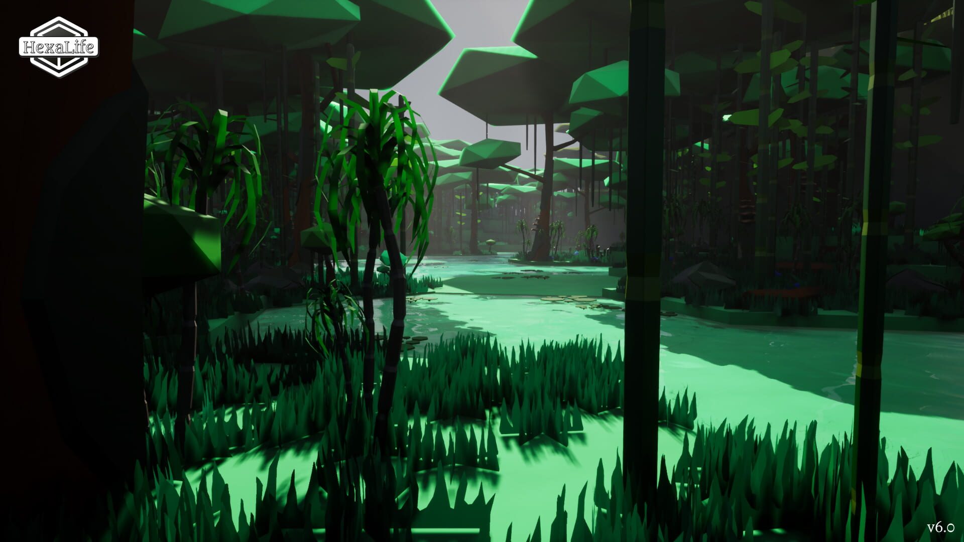 HexaLife - Screenshot