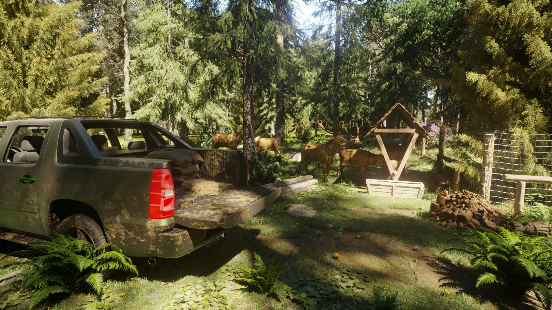 Forester Simulator - Screenshot