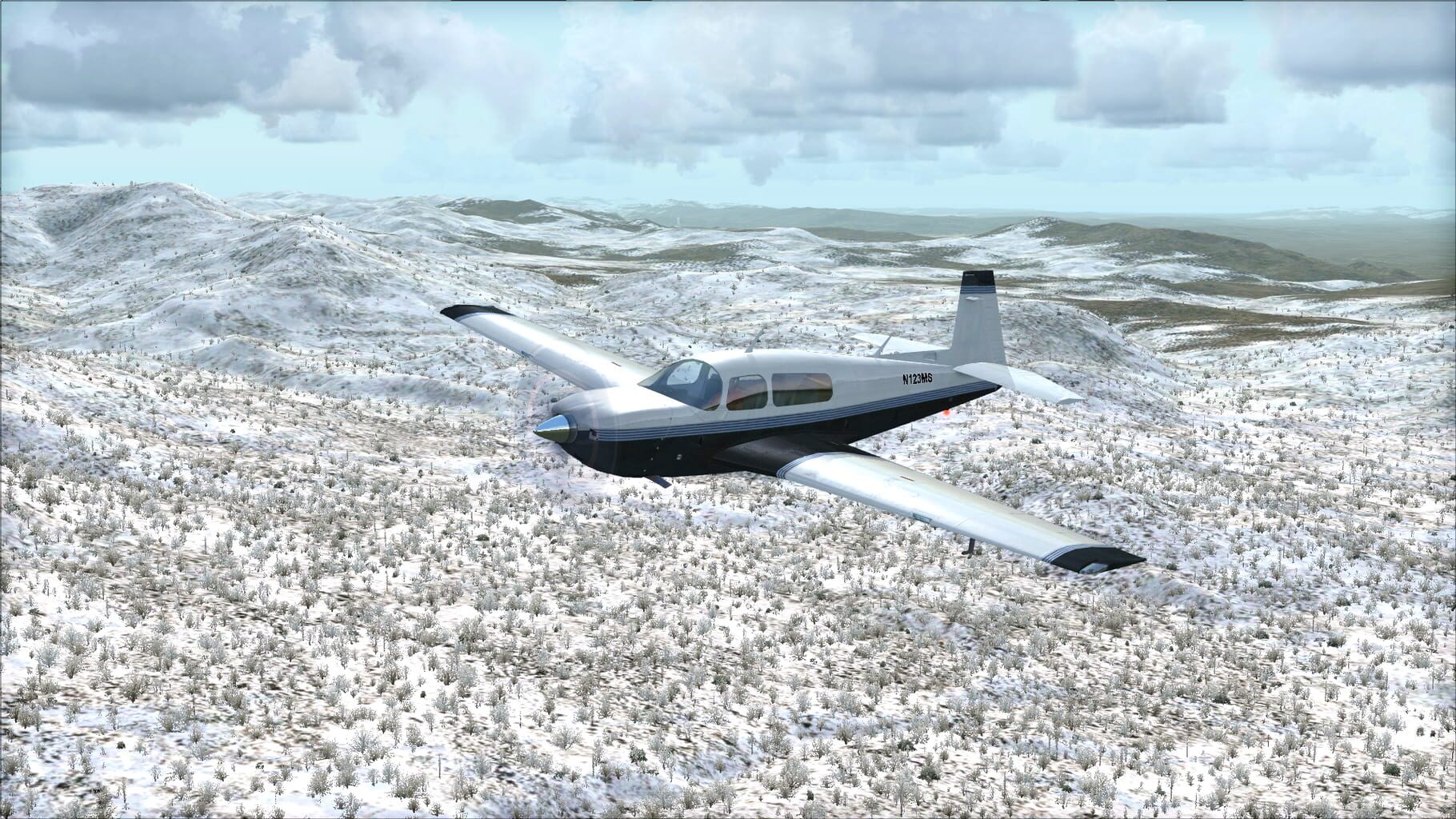 Microsoft Flight Simulator X: Steam Edition - Toposim US Northeast