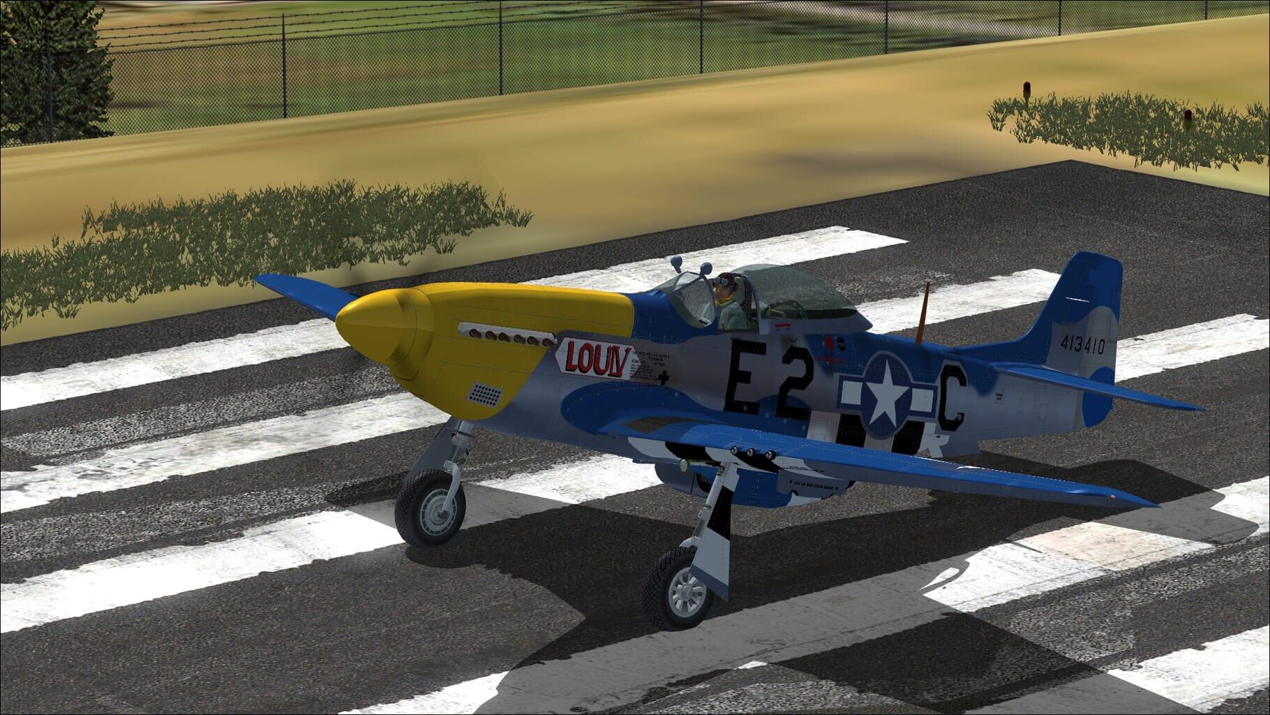 Microsoft Flight Simulator X: Steam Edition - P-51D Mustang