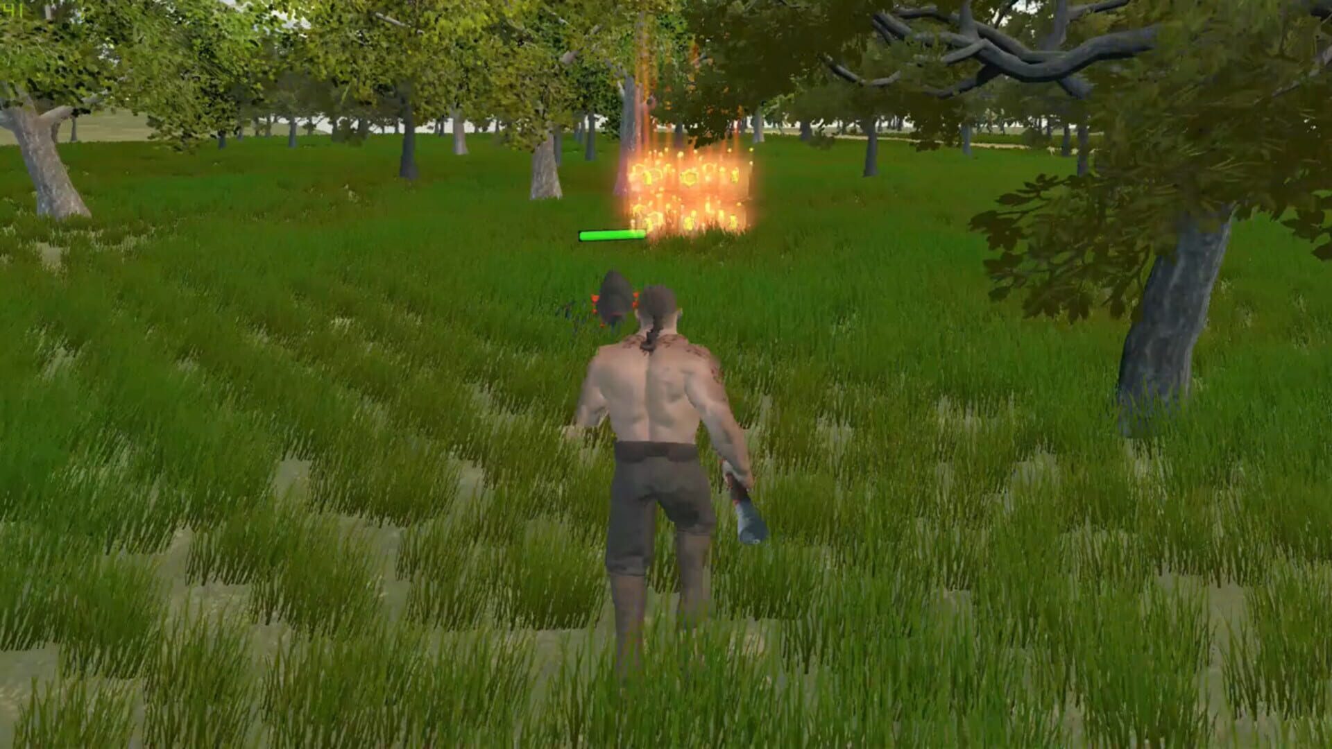 Pirate of Madagascar Island - Screenshot