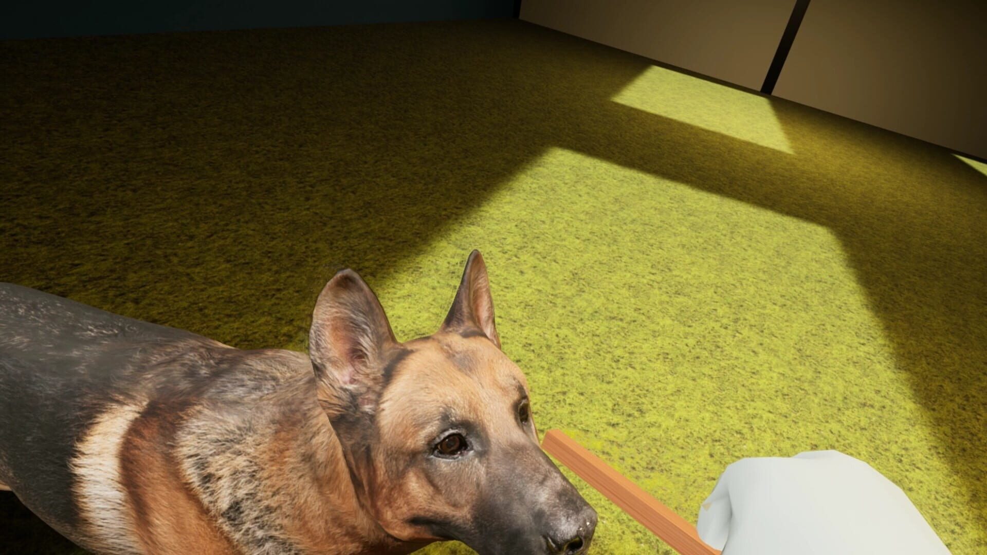 My UnReal Pet - Screenshot