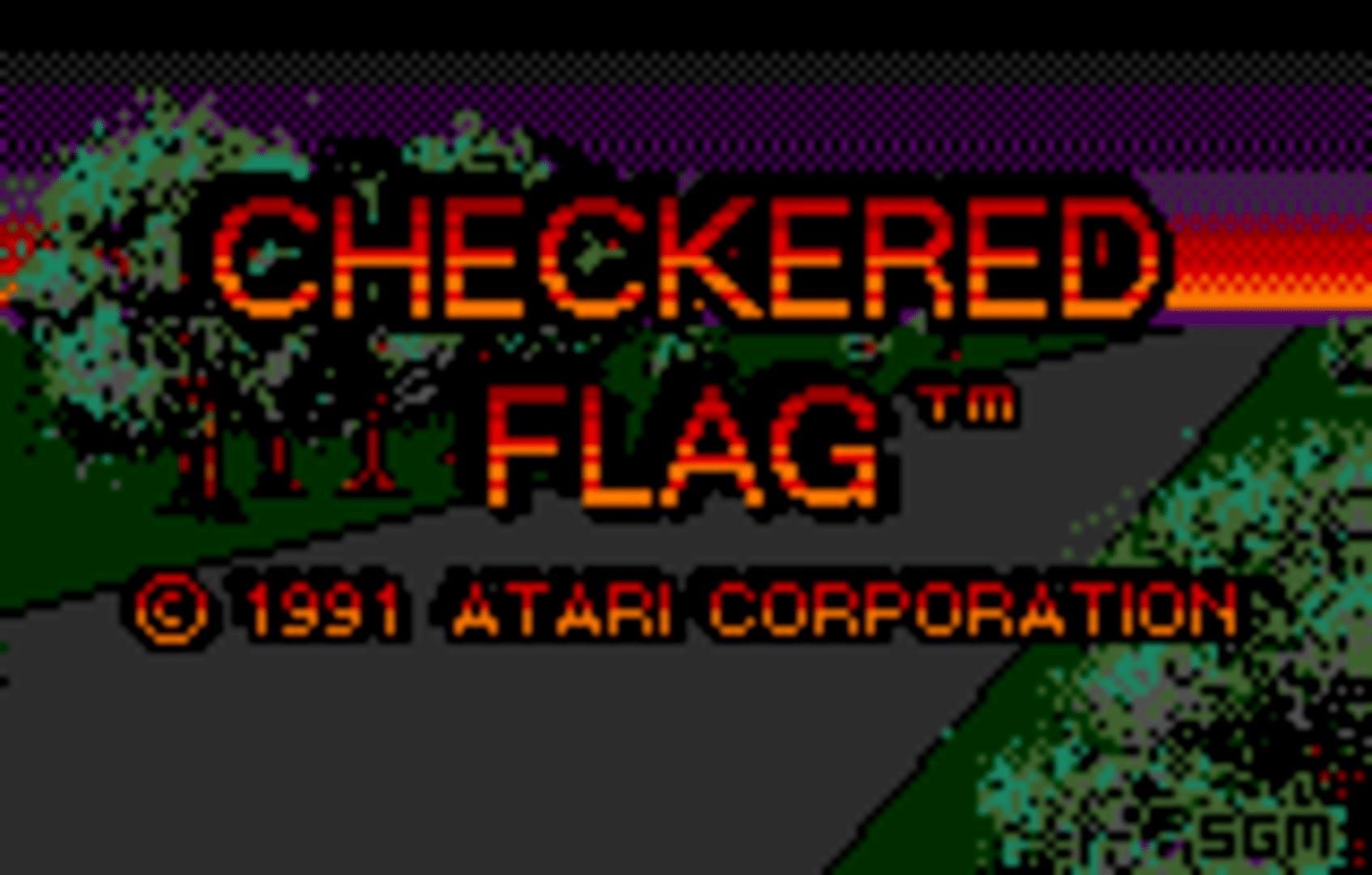 Checkered Flag screenshot