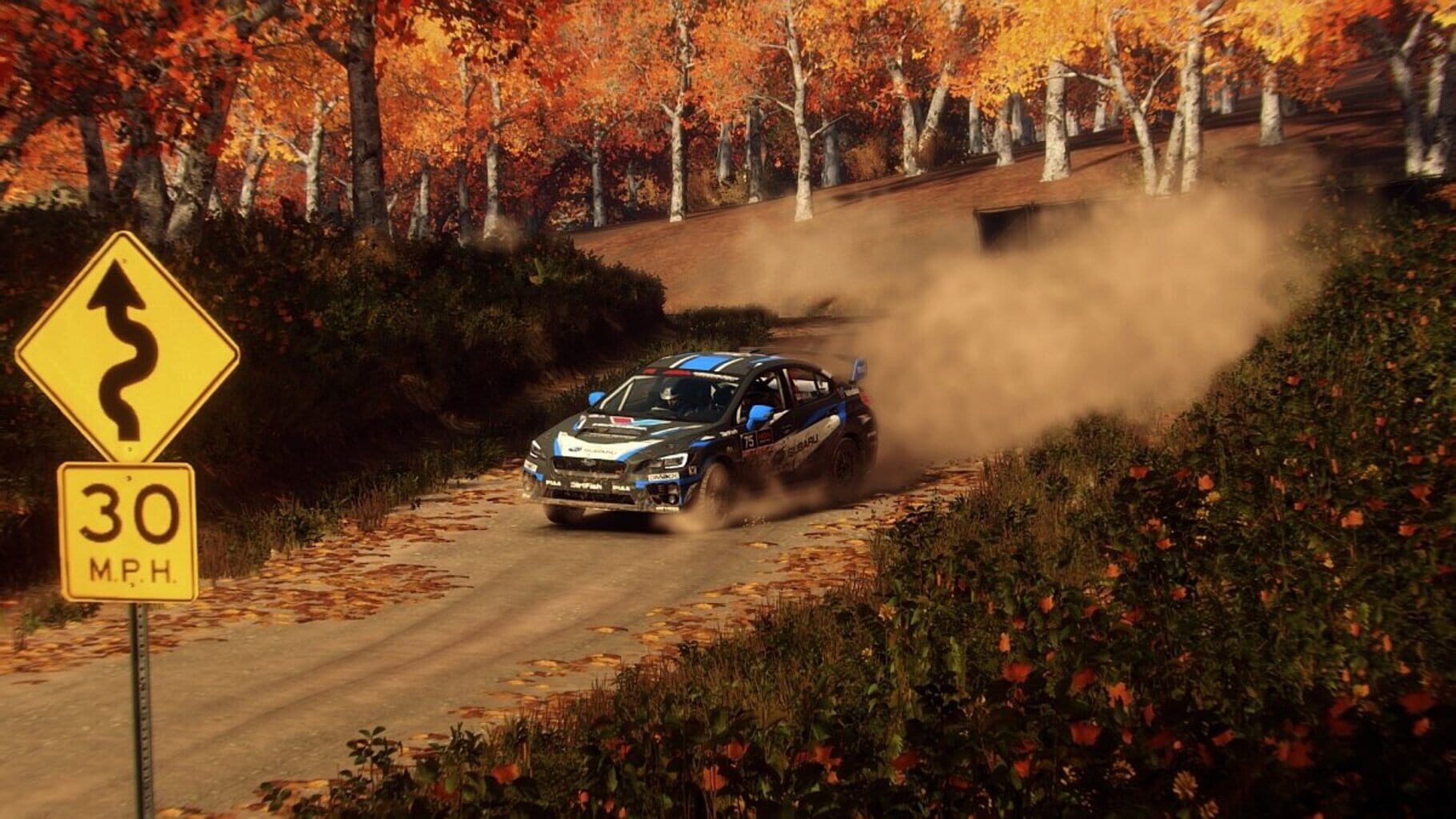 Captura de pantalla - DiRT Rally 2.0: Super Deluxe Edition