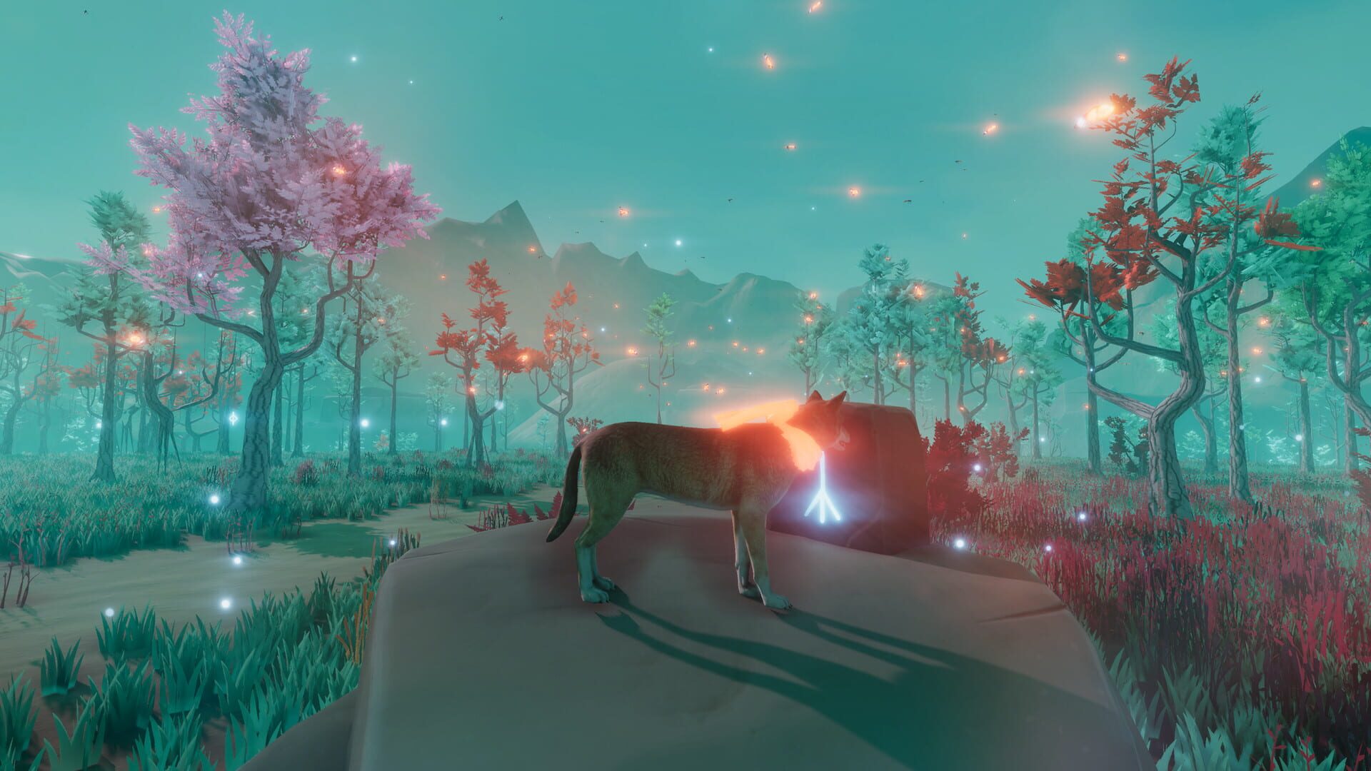 Storm & Calm - Screenshot