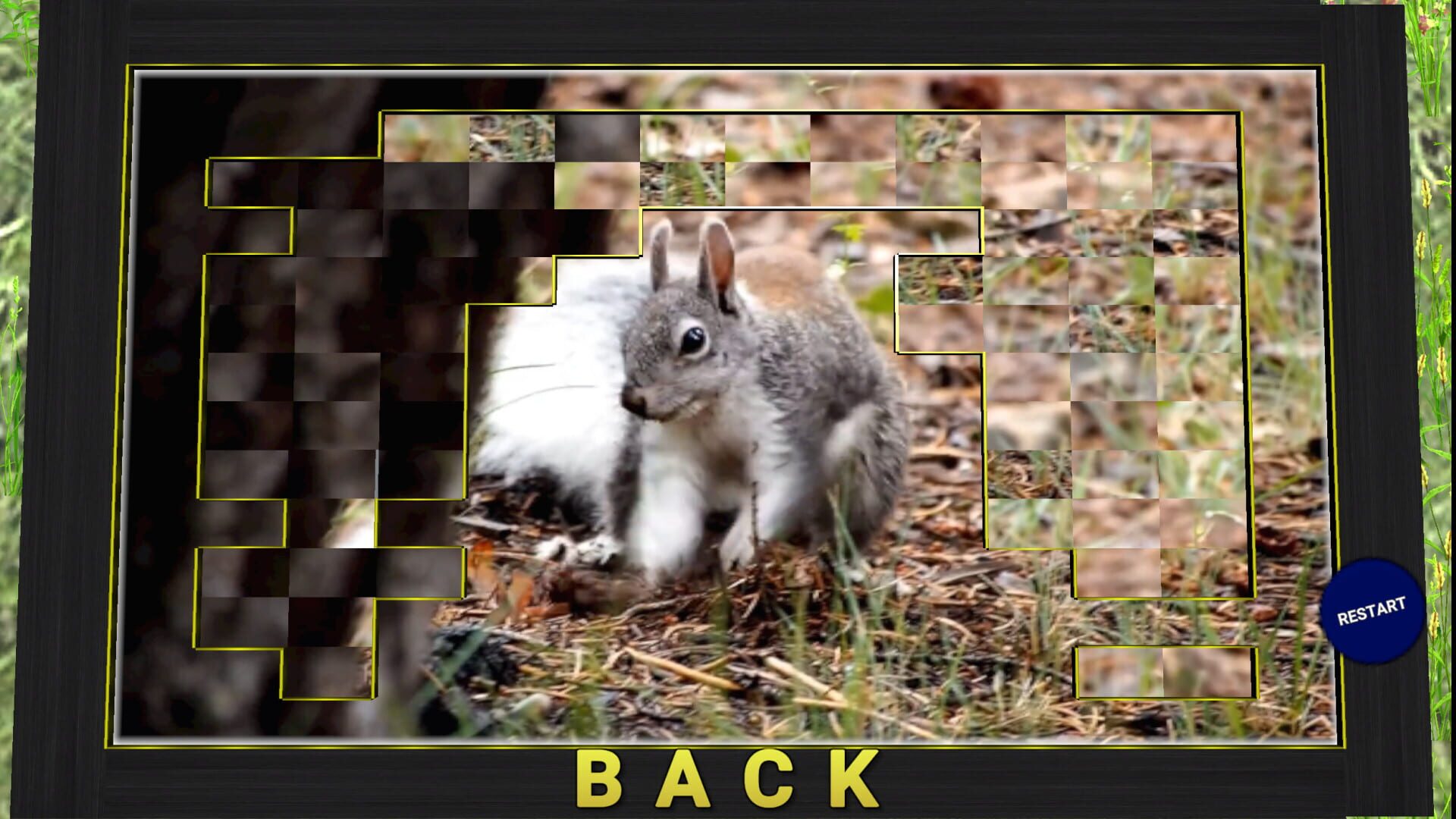 Vizzle - Screenshot