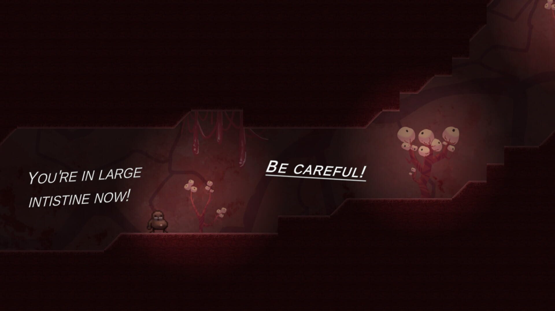 The Runaway Feijoao - Screenshot