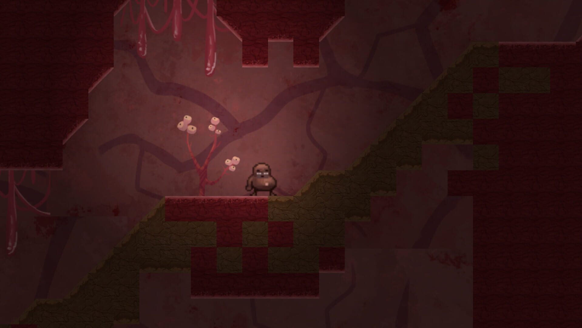 The Runaway Feijoao - Screenshot