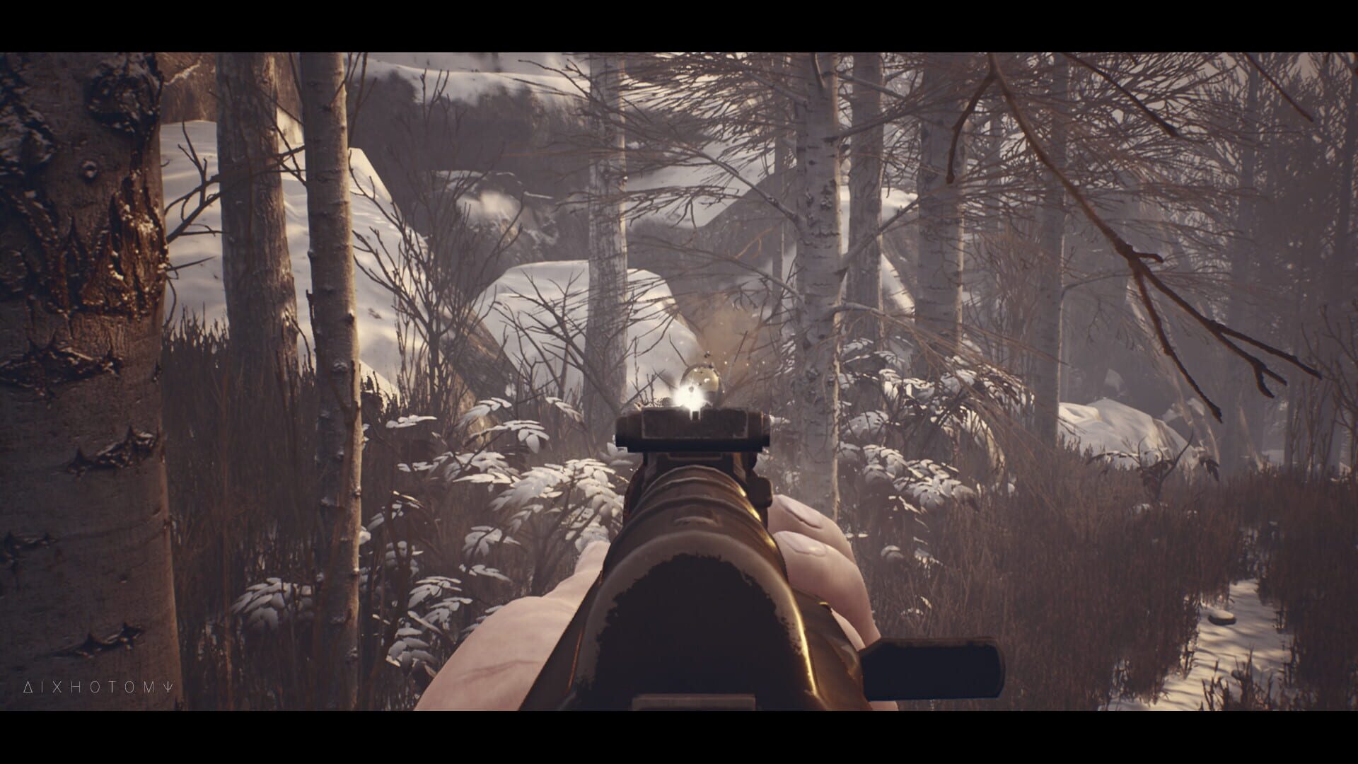 Dichotomy - Screenshot