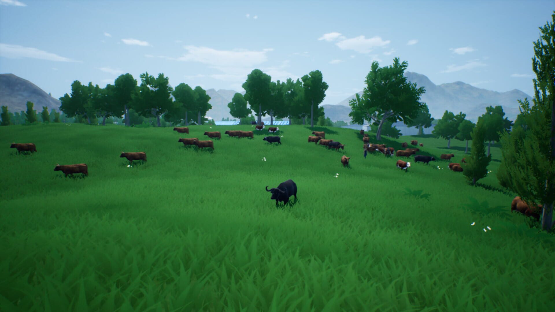 Rou Niu Yang Zhi Ji Hua - Screenshot