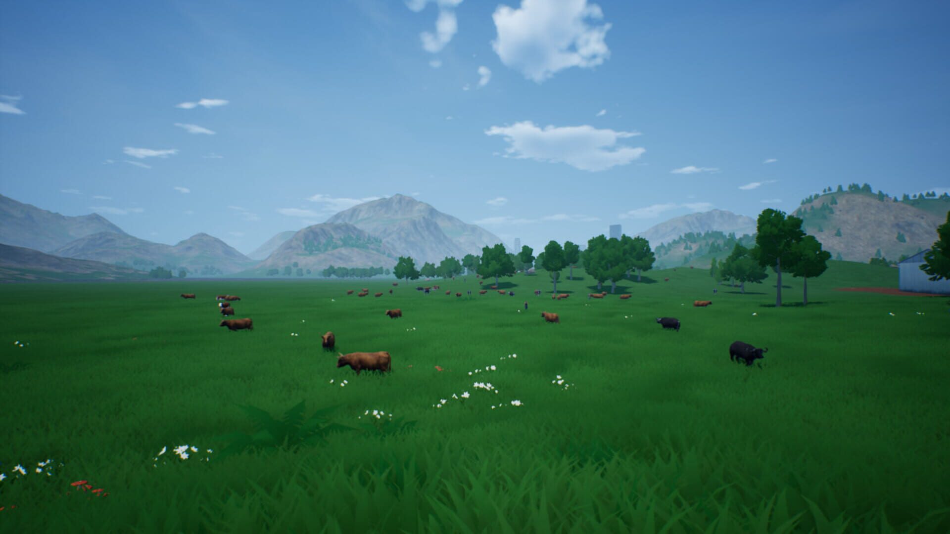 Rou Niu Yang Zhi Ji Hua - Screenshot