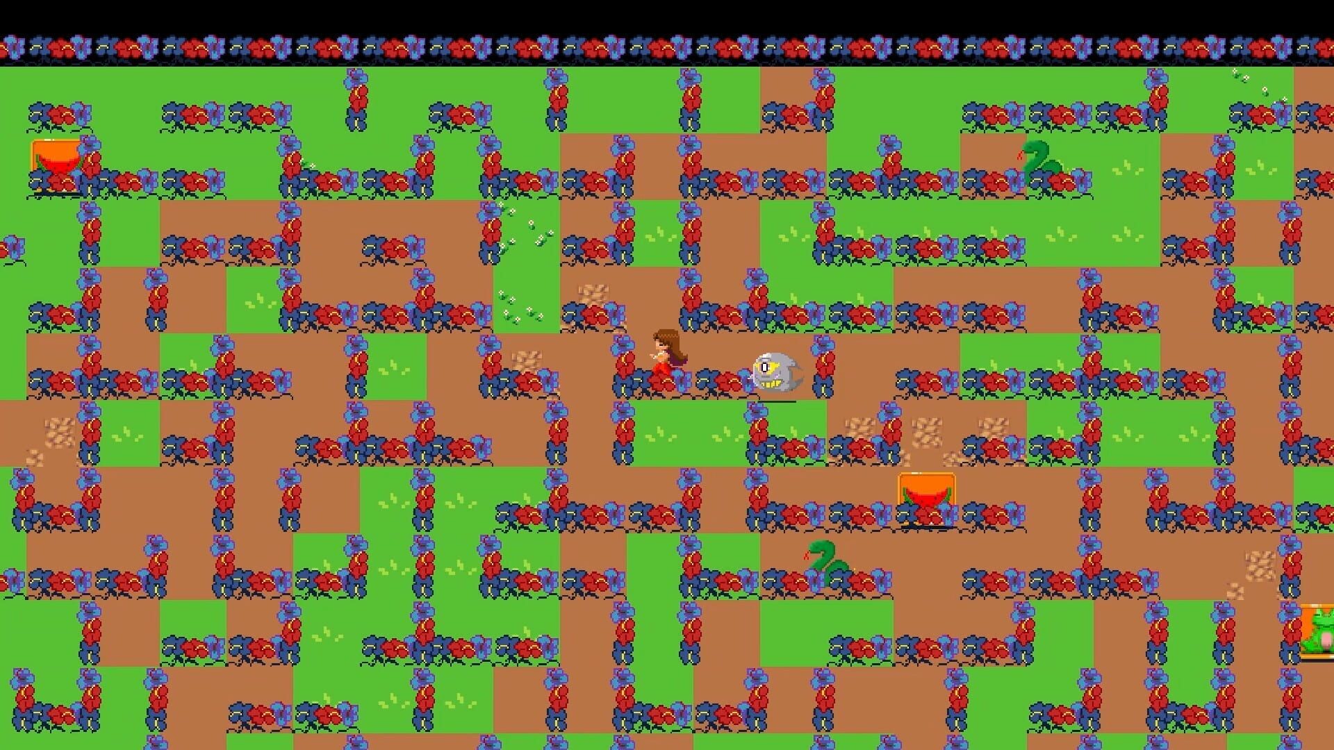 Endurance Labyrinth - Screenshot