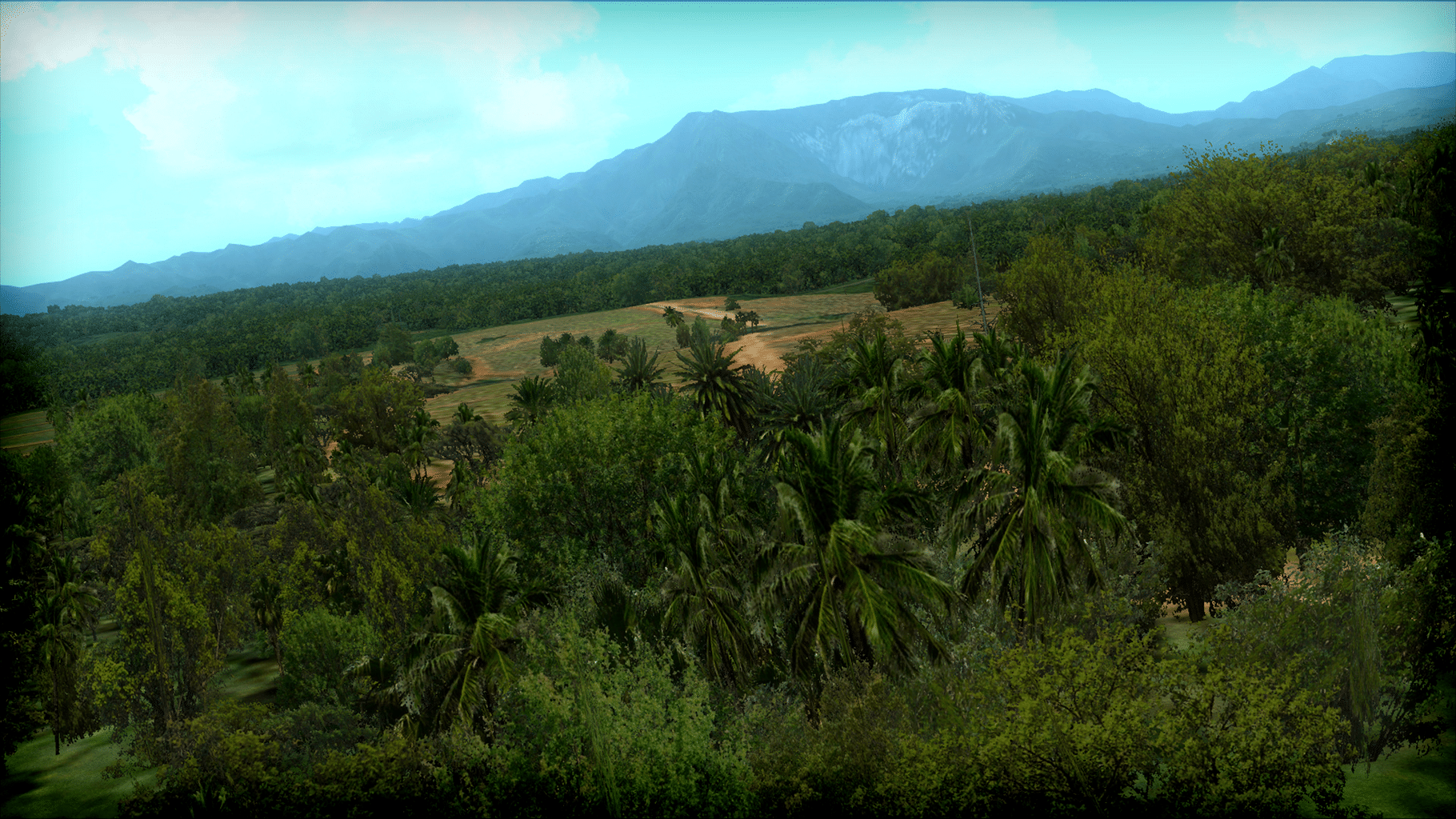 Microsoft Flight Simulator X: Steam Edition - FTX Trees HD screenshot