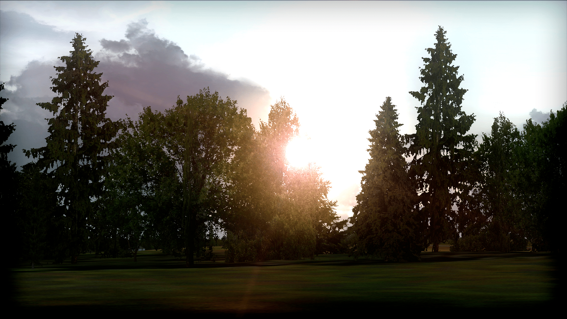 Microsoft Flight Simulator X: Steam Edition - FTX Trees HD screenshot