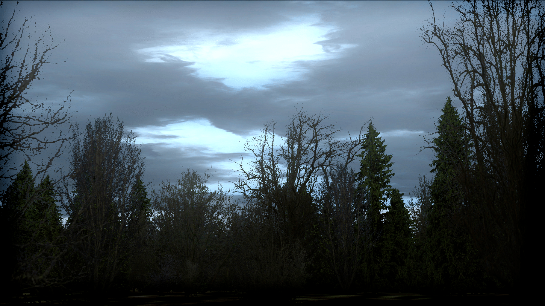 Microsoft Flight Simulator X: Steam Edition - FTX Trees HD screenshot