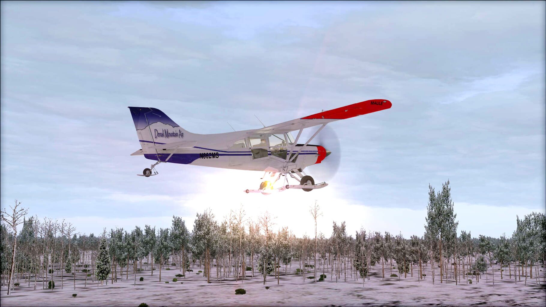 Microsoft Flight Simulator X: Steam Edition - Natural Tree Environment X