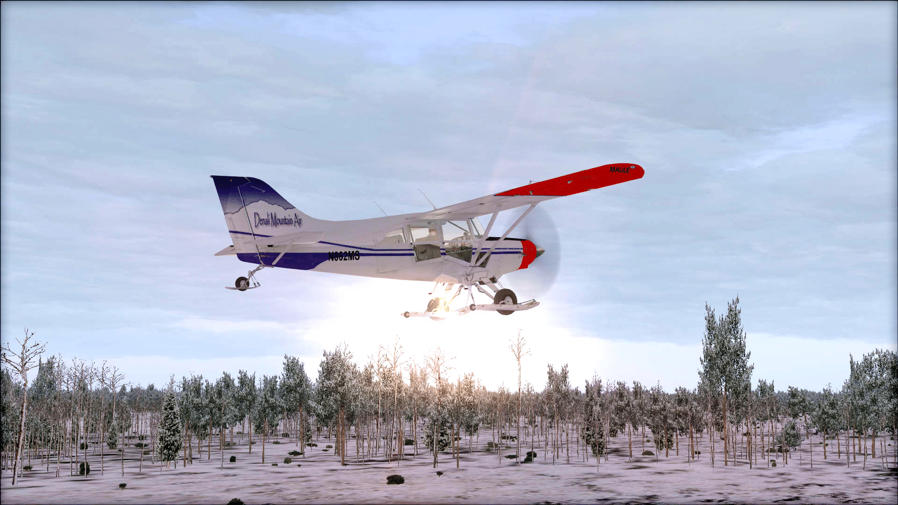 Microsoft Flight Simulator X: Steam Edition - Natural Tree Environment X screenshot