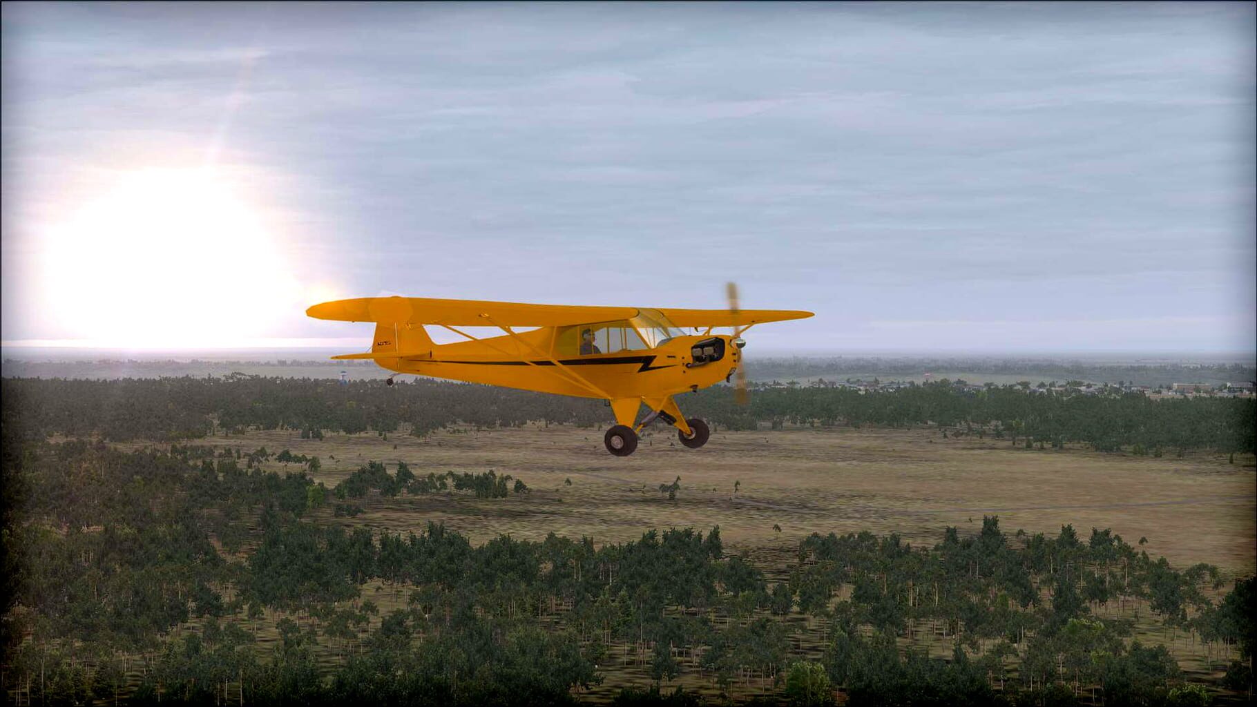 Microsoft Flight Simulator X: Steam Edition - Natural Tree Environment X