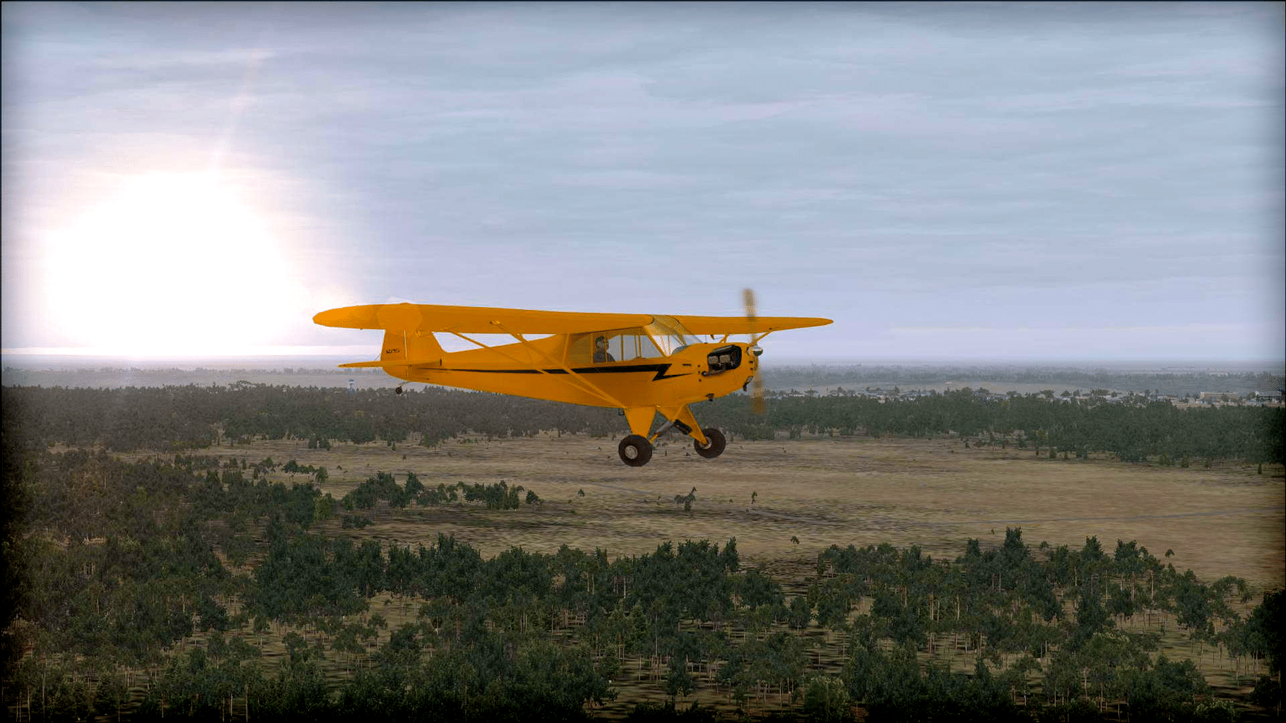 Microsoft Flight Simulator X: Steam Edition - Natural Tree Environment X screenshot