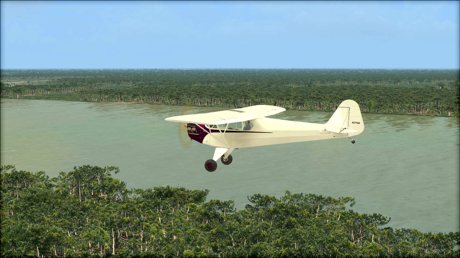 Microsoft Flight Simulator X: Steam Edition - Natural Tree Environment X