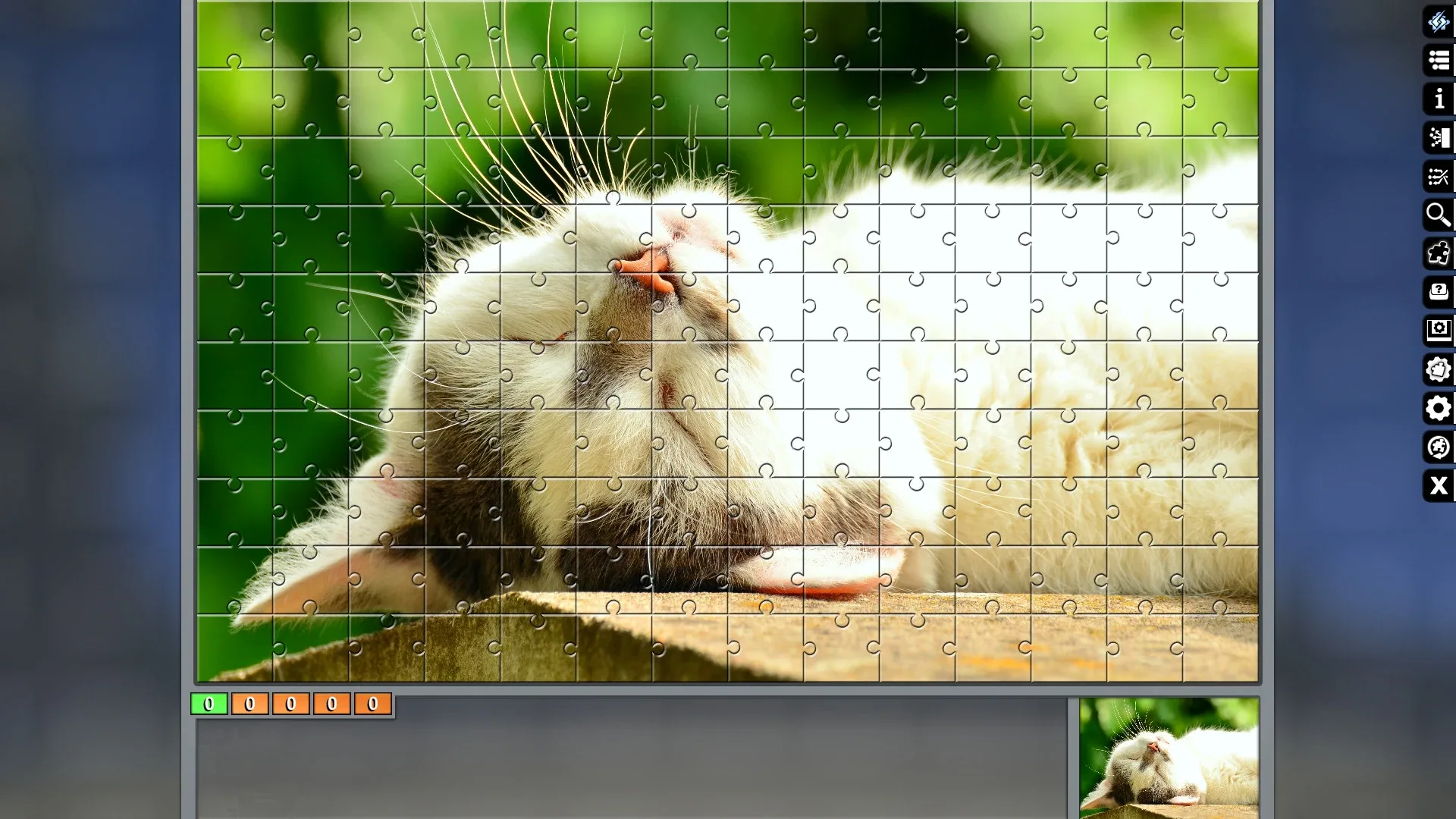 Thumbnail 9