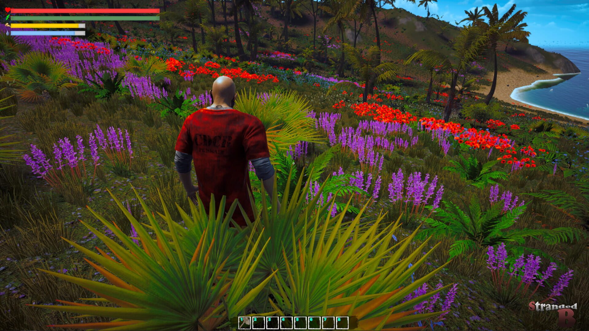 Stranded B - Screenshot