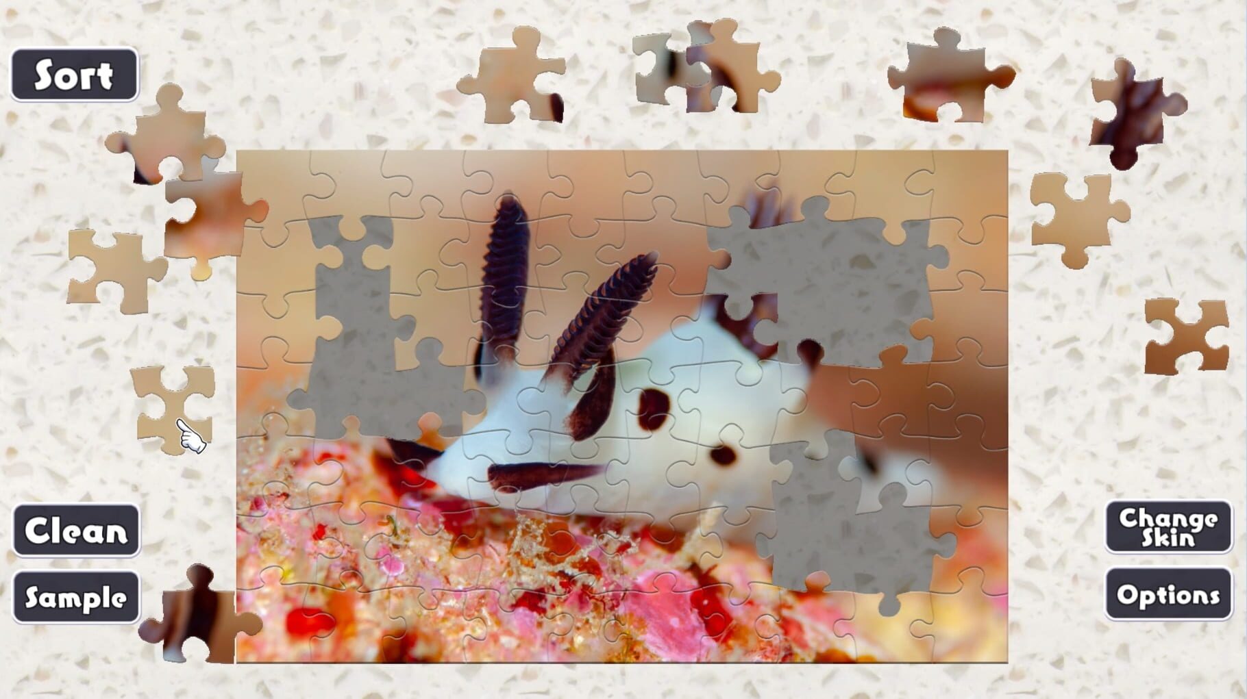 Jigsaw Masterpieces: Sea Slugs - Gems of the Sea screenshot