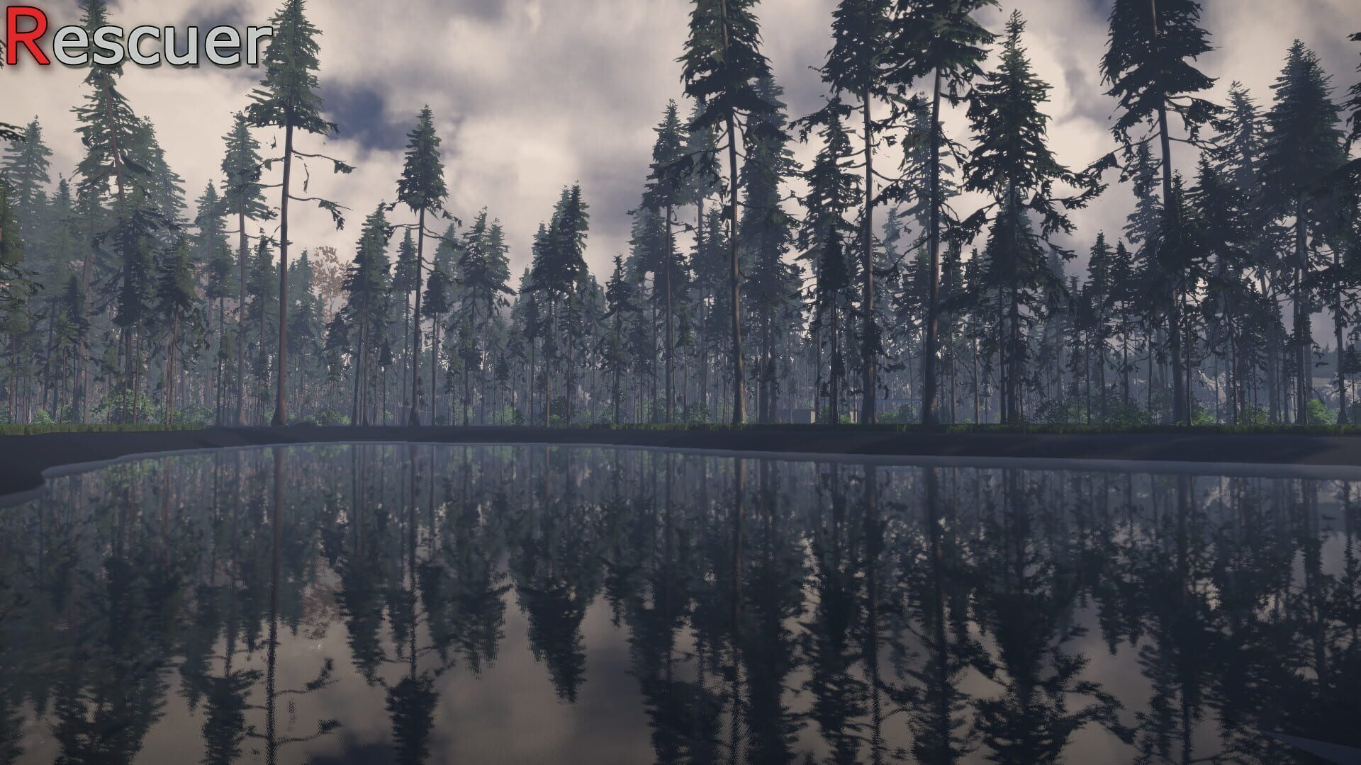 Rescuer - Screenshot