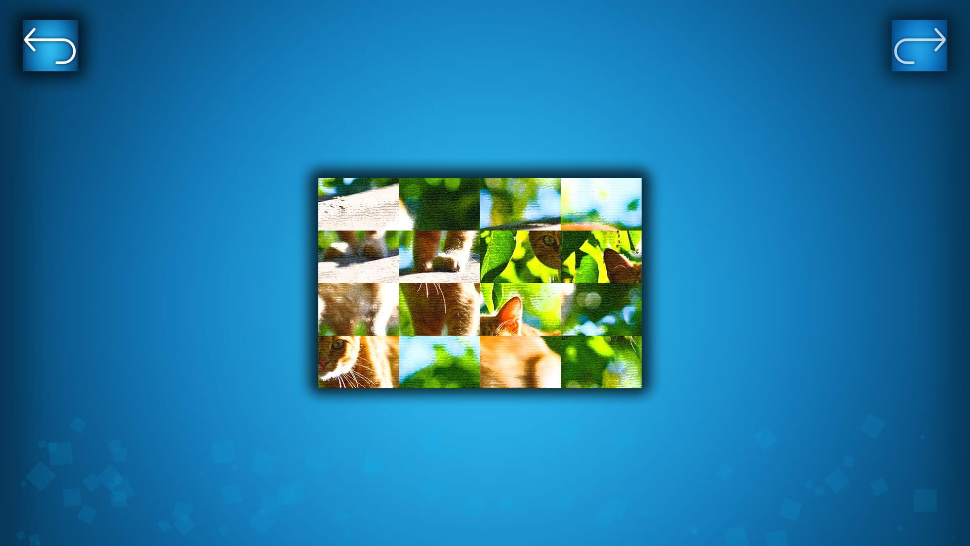 Puzzle: Cats & Dogs - Puzzle Pack: Summer Cats - Screenshot