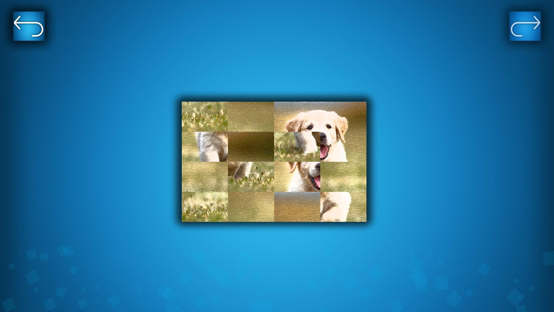 Puzzle: Cats & Dogs - Puzzle Pack: Summer Dogs - Screenshot