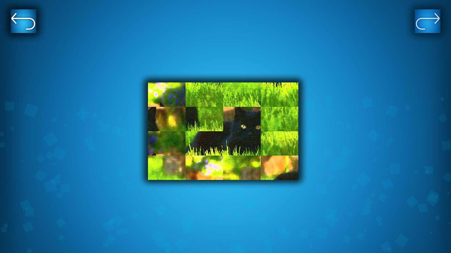 Puzzle: Cats & Dogs - Puzzle Pack: Summer Cats - Screenshot