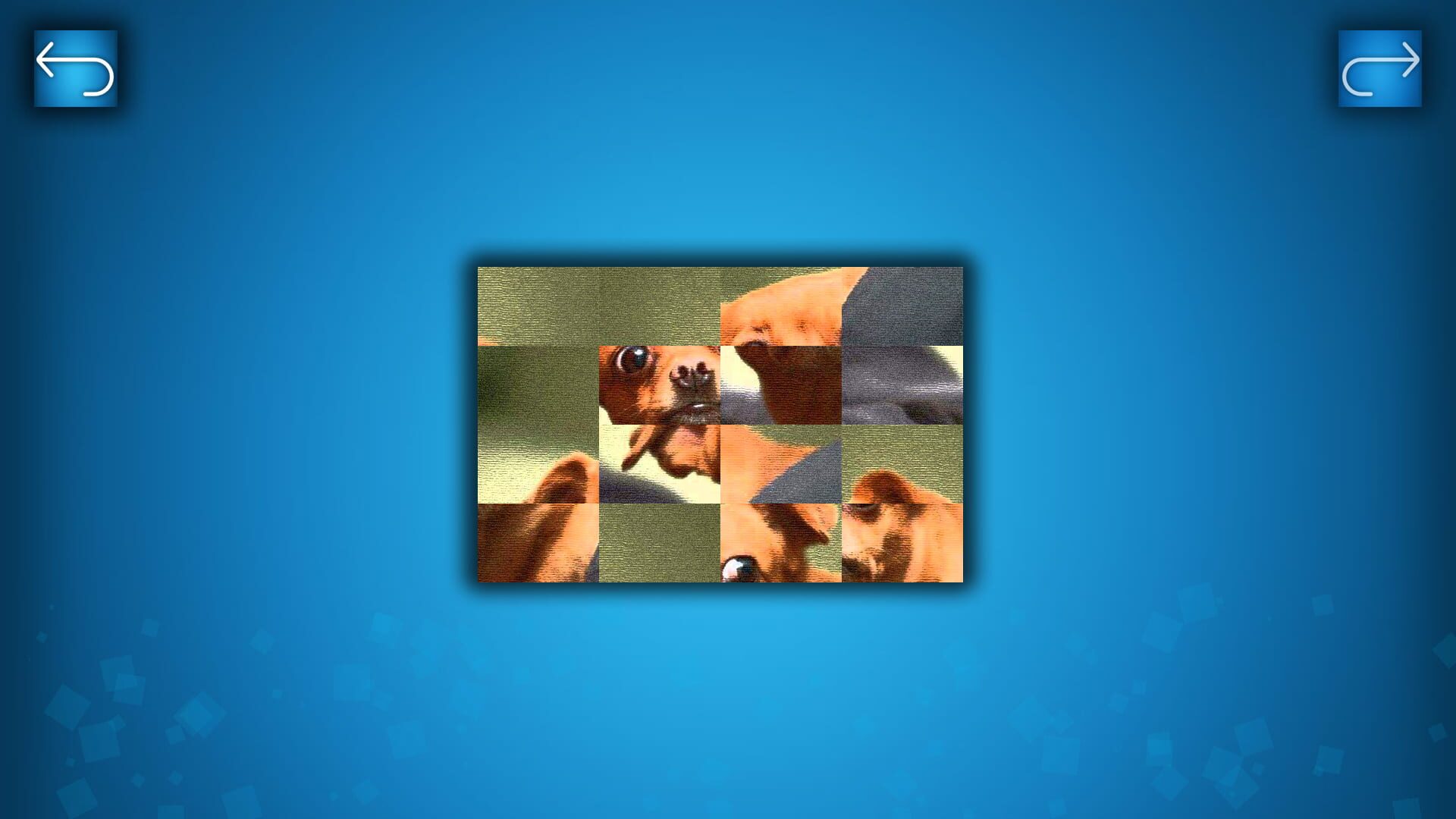 Puzzle: Cats & Dogs - Puzzle Pack: Summer Dogs - Screenshot