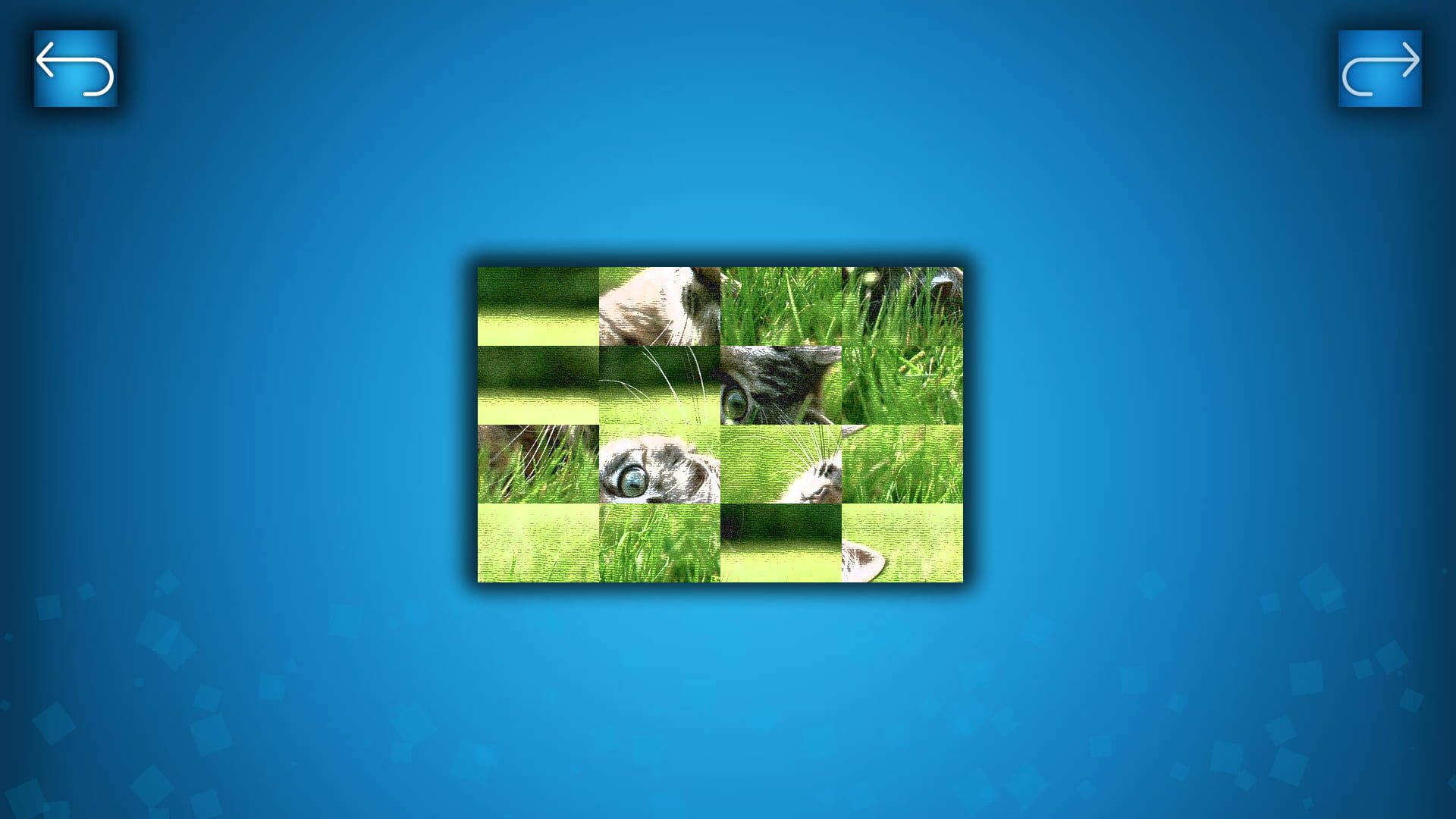 Puzzle: Cats & Dogs - Puzzle Pack: Summer Cats - Screenshot