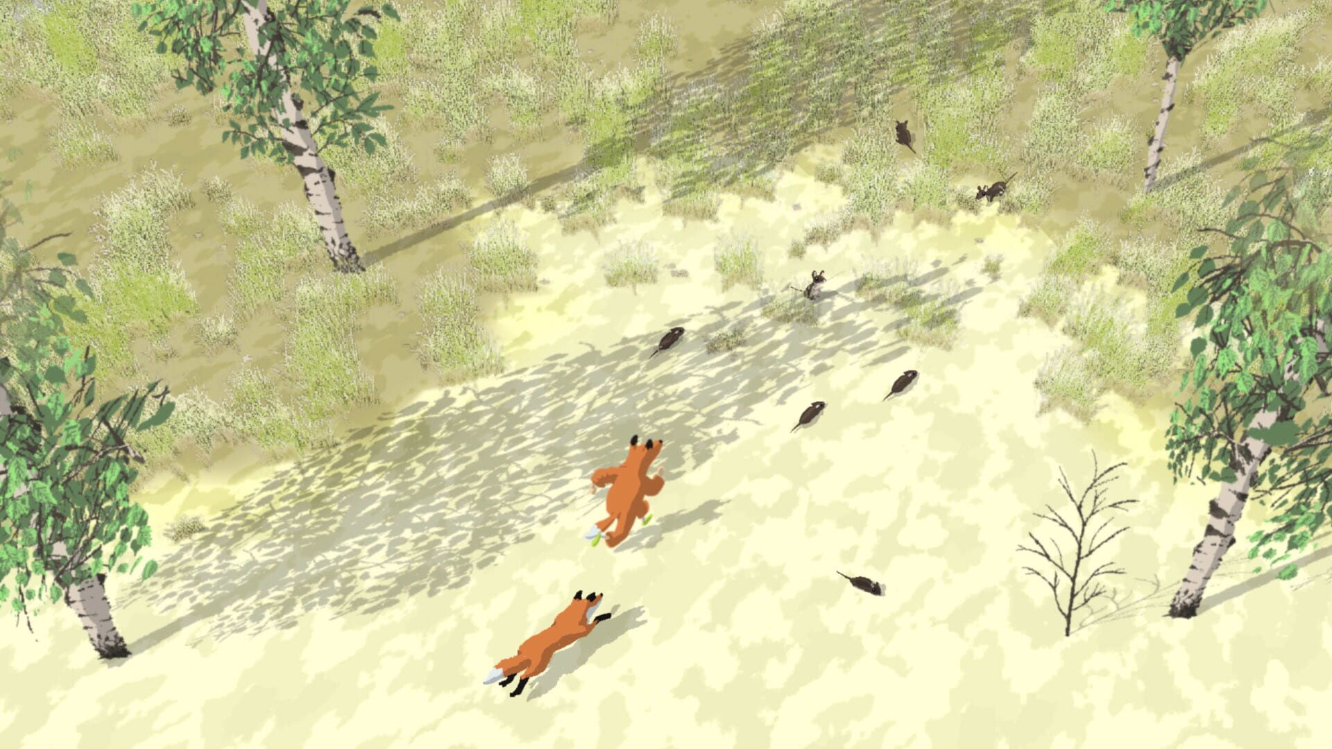 Coyote - Screenshot
