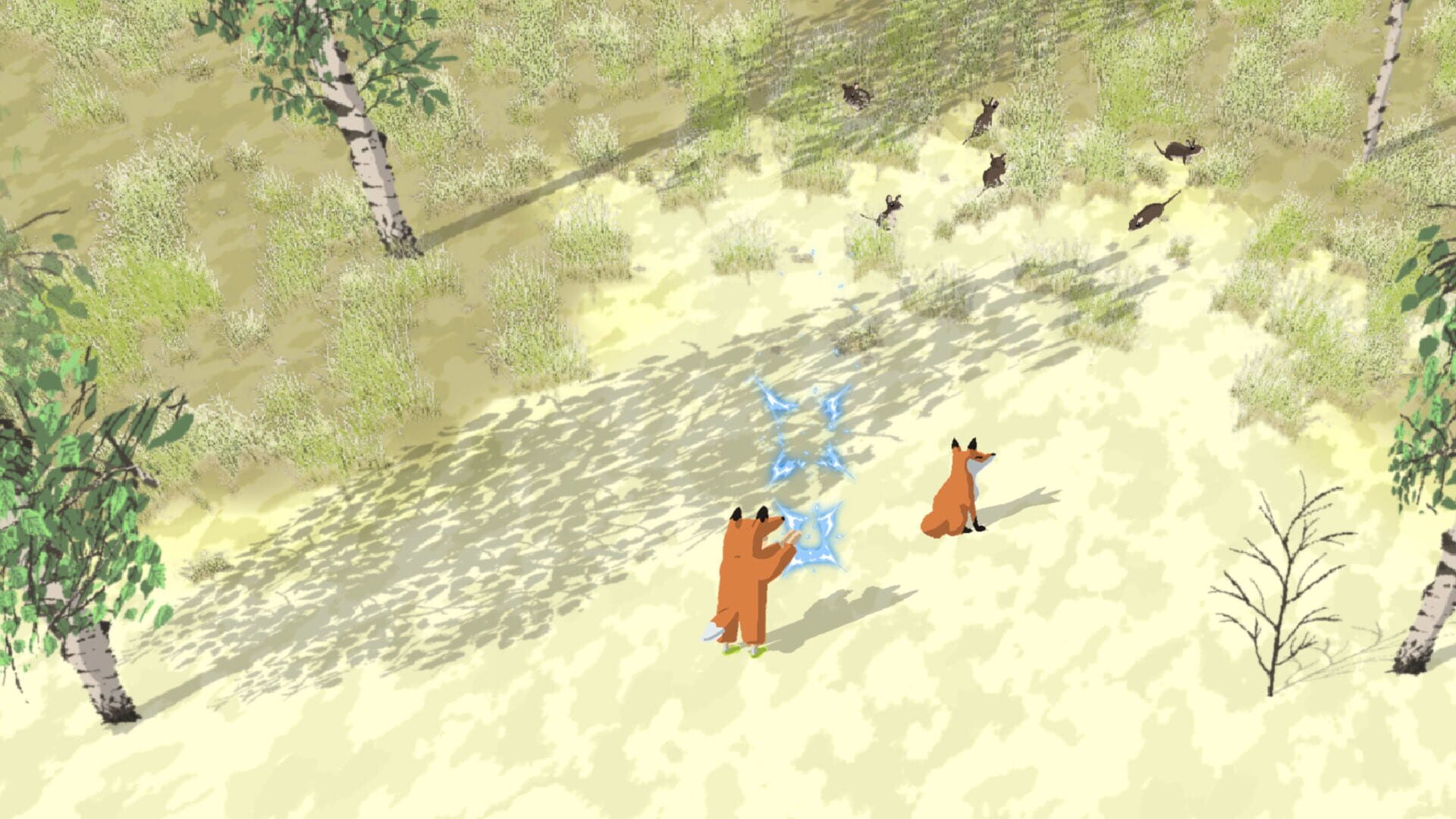 Coyote - Screenshot