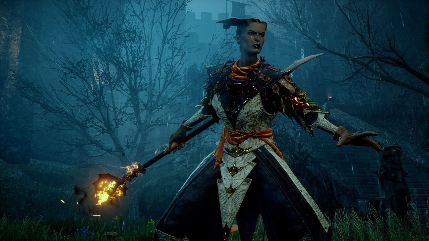 Captura de pantalla - Dragon Age: Inquisition - Deluxe Edition