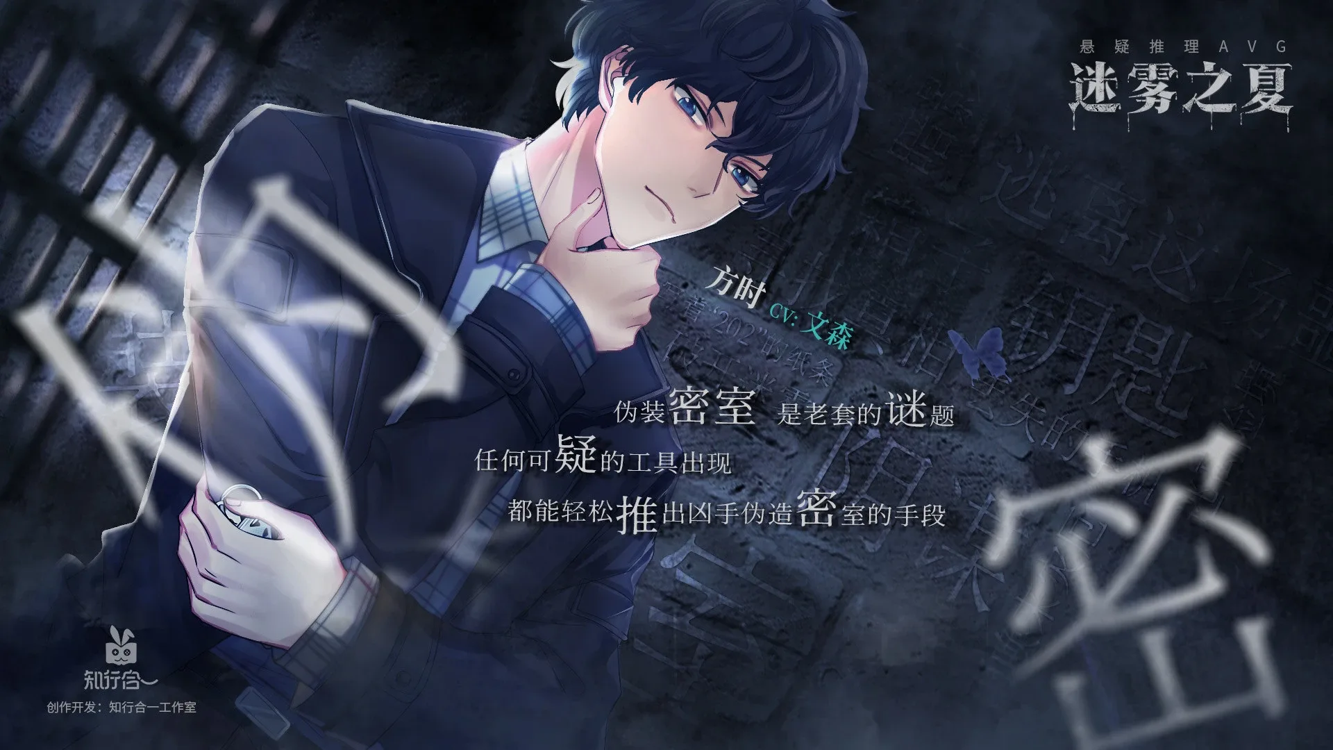 The Vigilant Villa: Non-existent Mirror