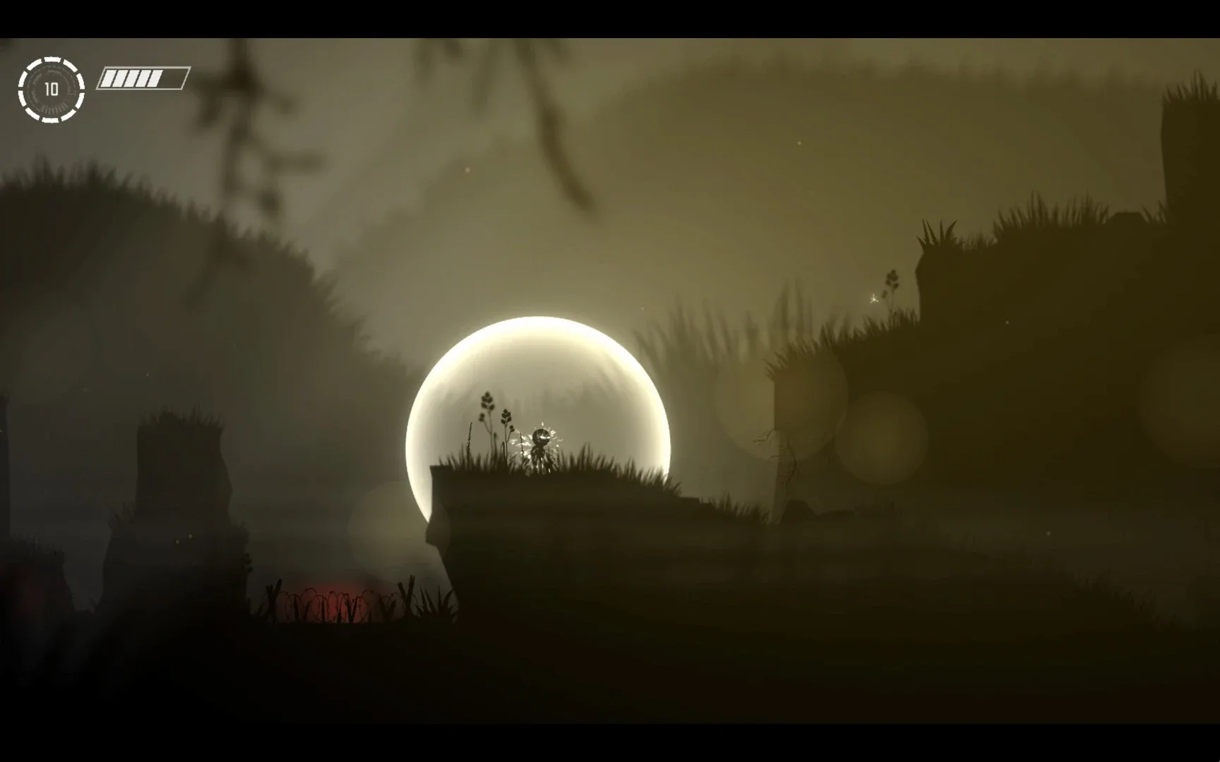 Thumbnail 11