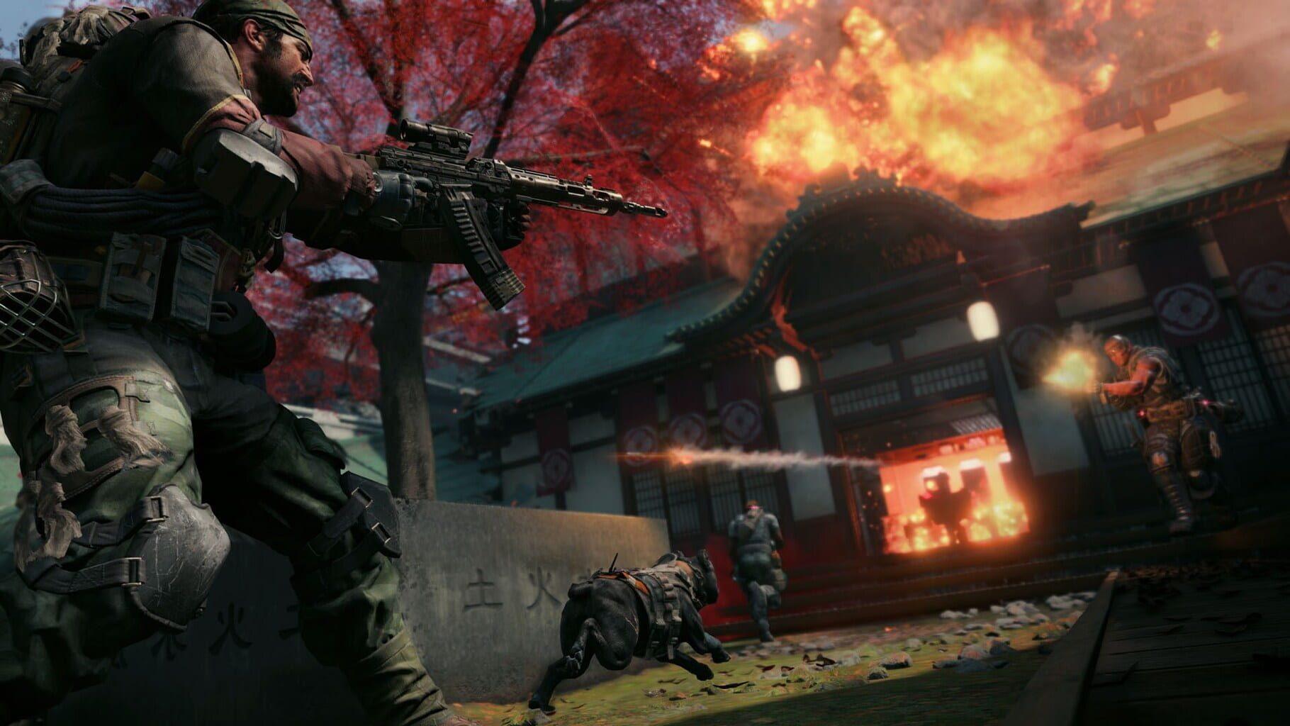 Captura de pantalla - Call of Duty: Black Ops 4 - Digital Deluxe Edition