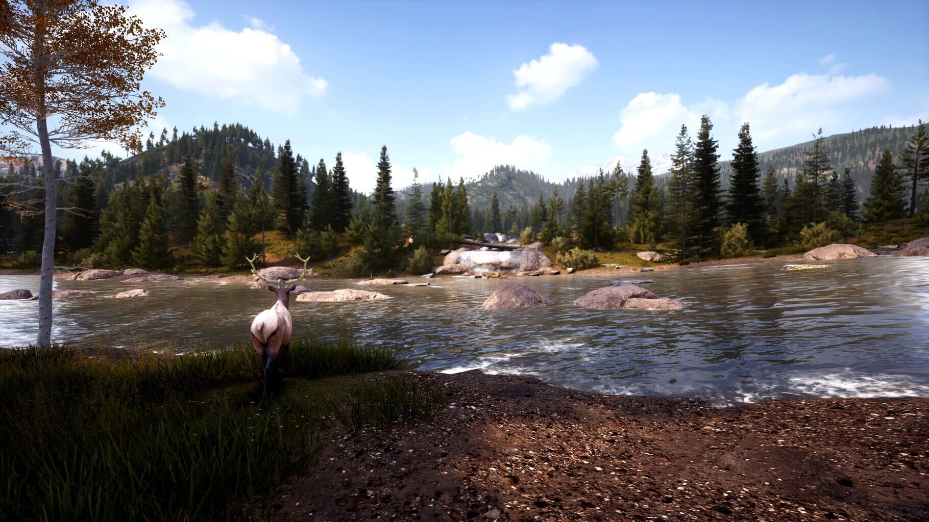 Hunting Simulator 2: Bear Hunter Edition screenshot