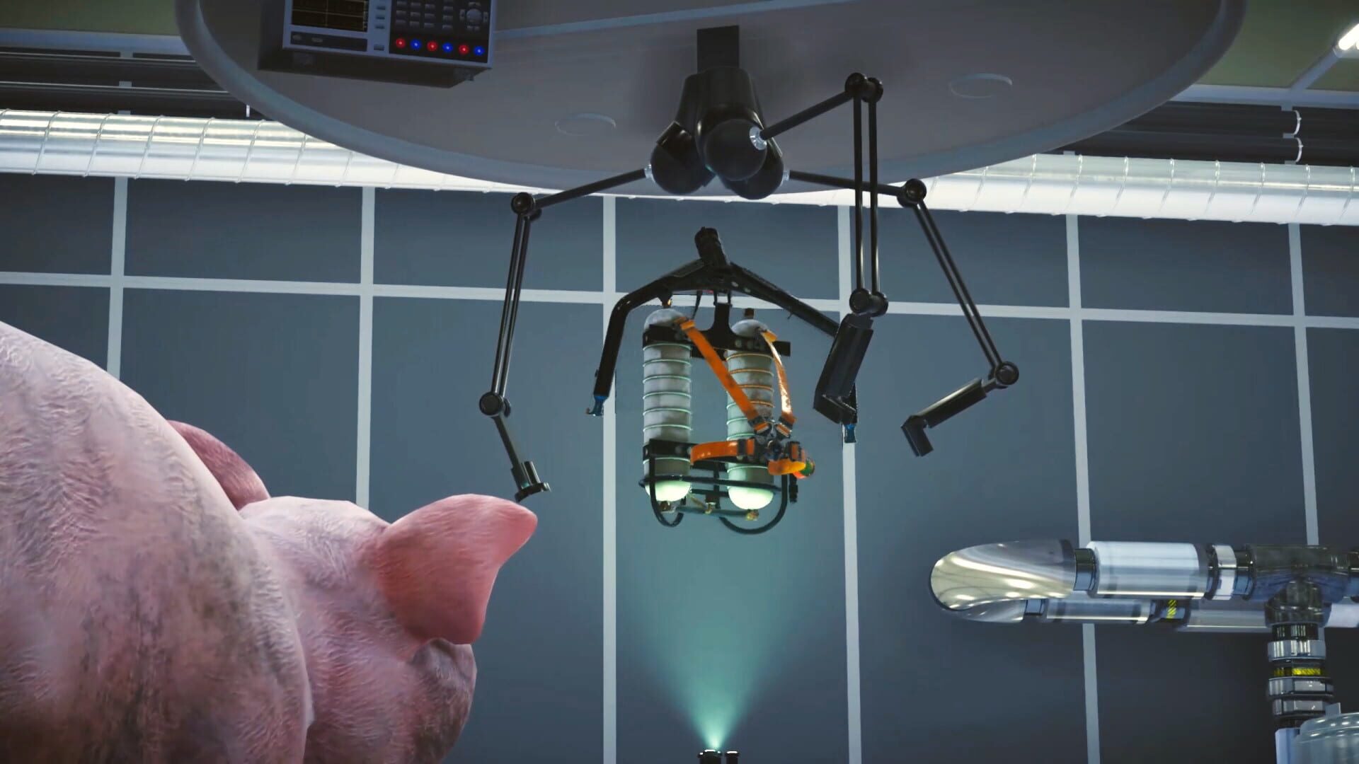 Pig Skater Simulator - Screenshot
