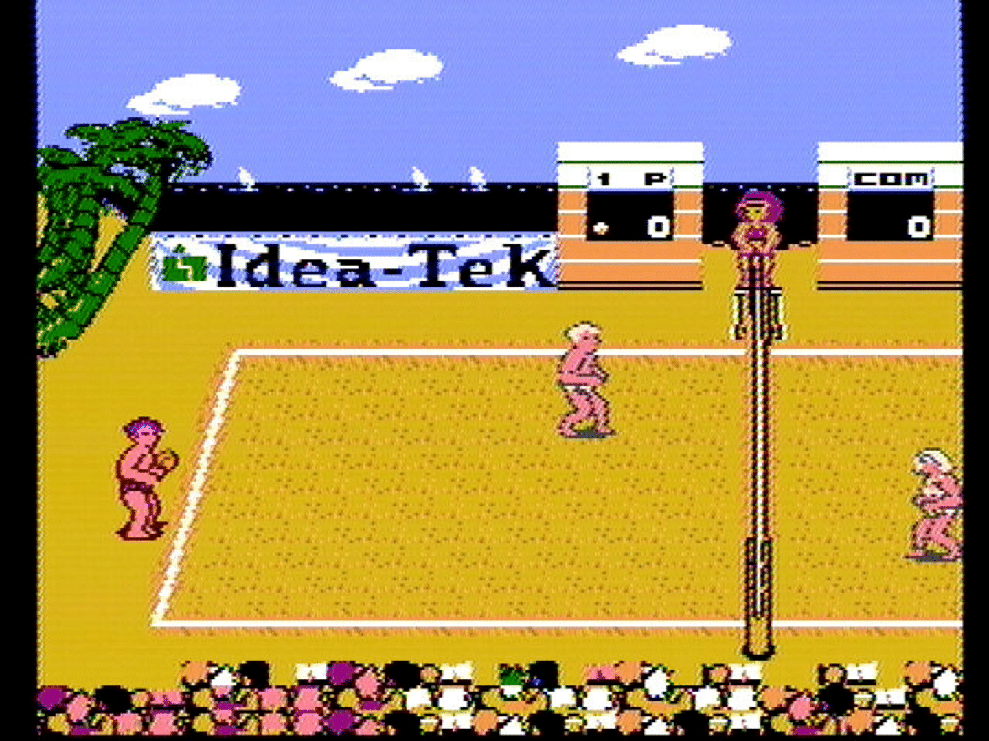 Venice Beach Volleyball screenshot