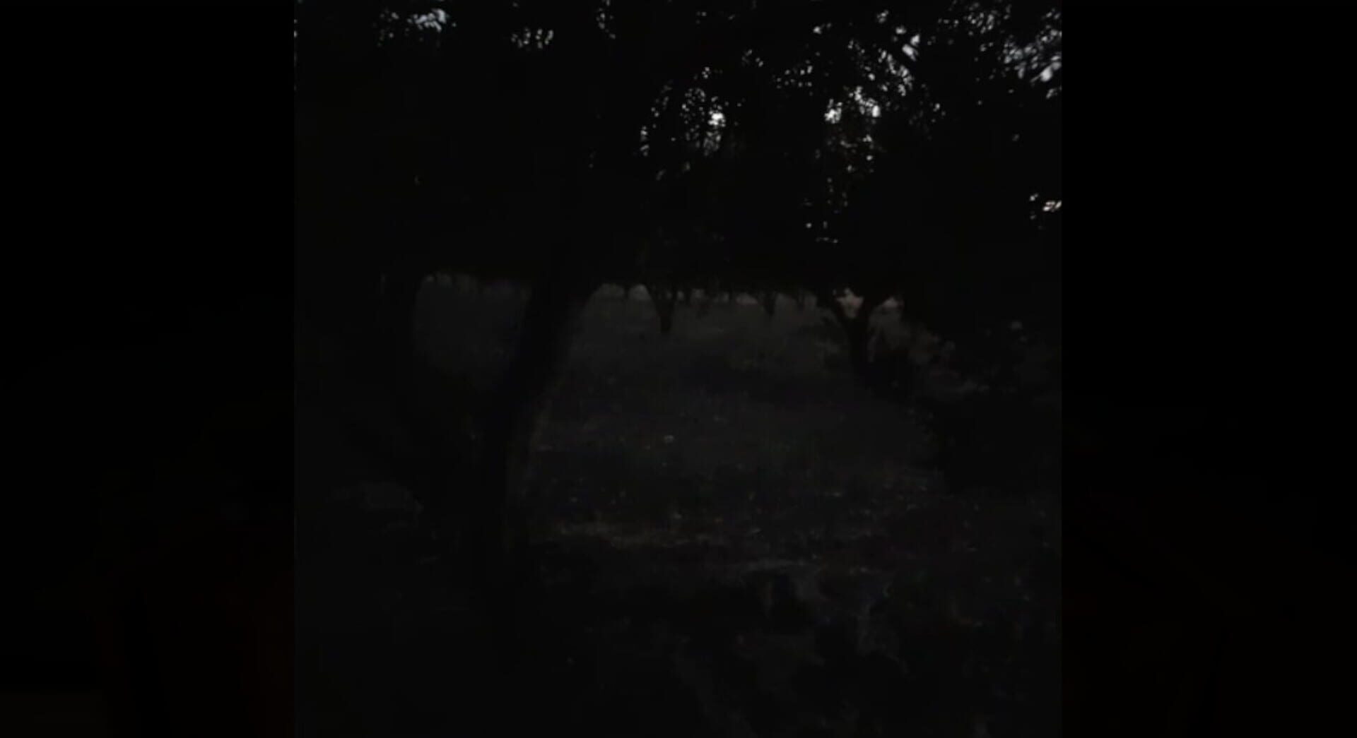 KaraDedeler 1989 - Screenshot