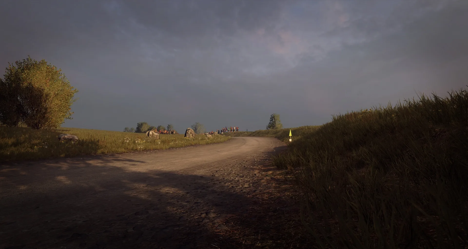 DiRT Rally 2.0: Germany (Rally Location)