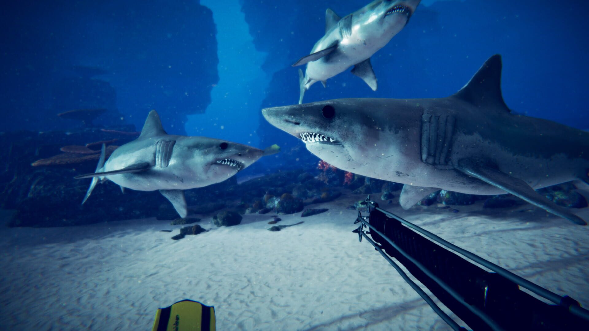 Shark Slayer - Screenshot