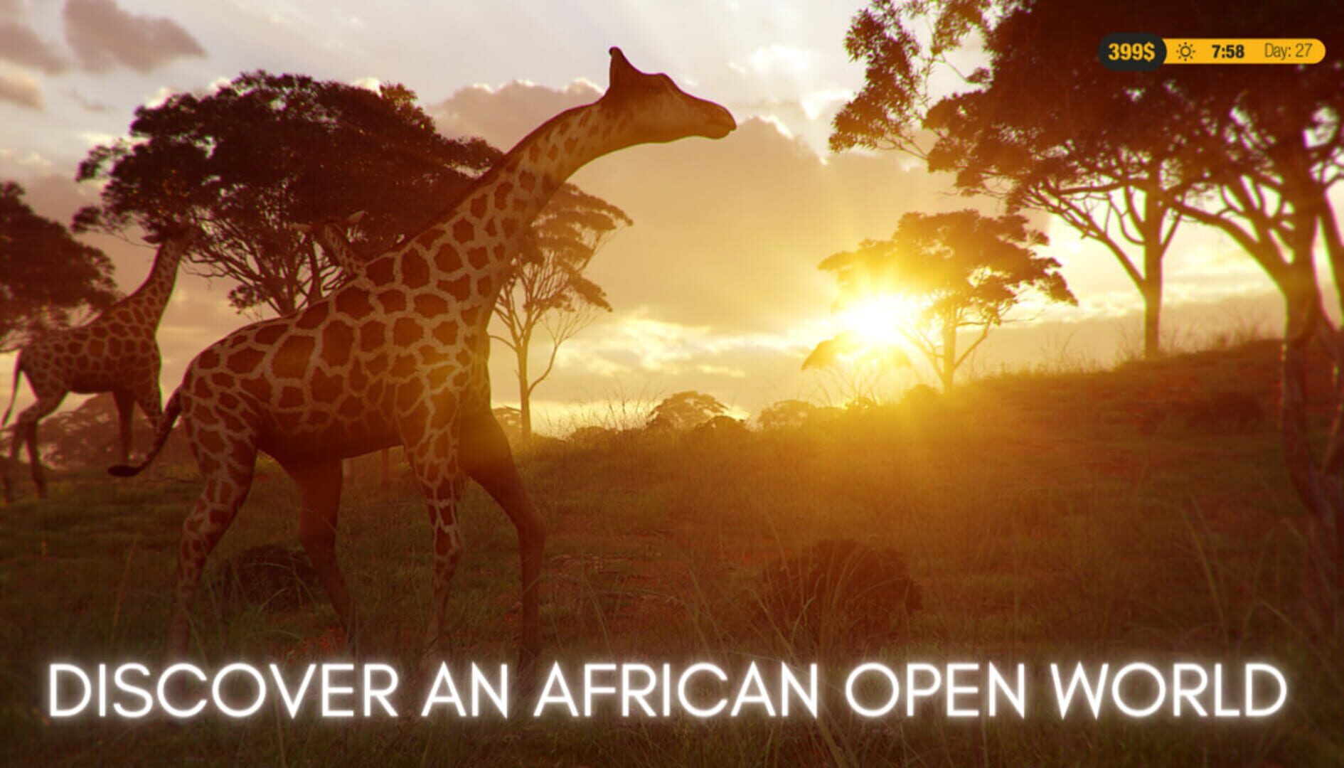 Safari Park Ranger - Screenshot
