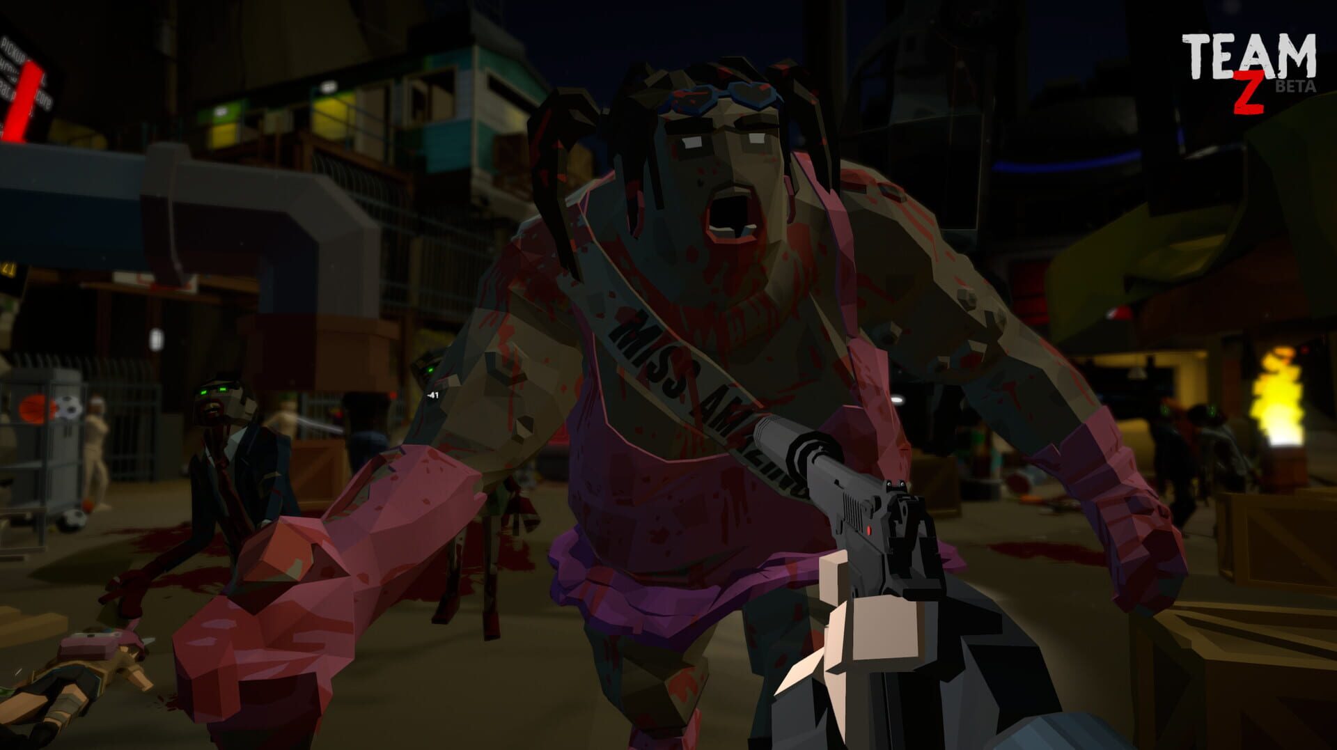 Team-Z - Screenshot