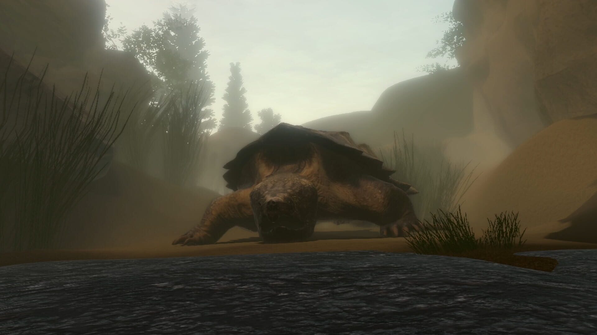 Frogworld - Screenshot