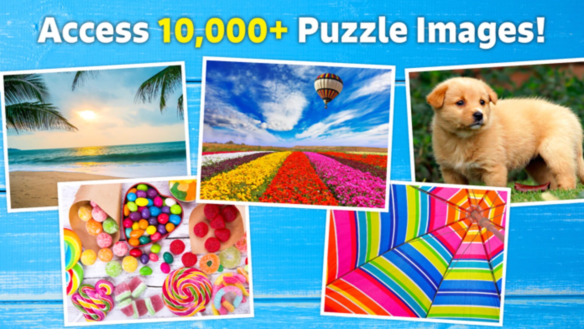 Jigsaw Puzzle Bug - Screenshot