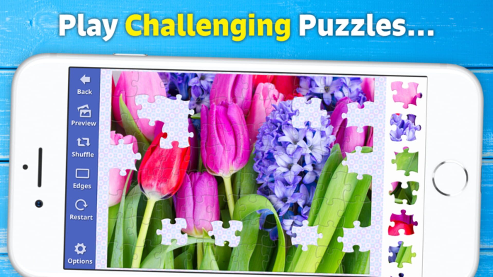 Jigsaw Puzzle Bug - Screenshot